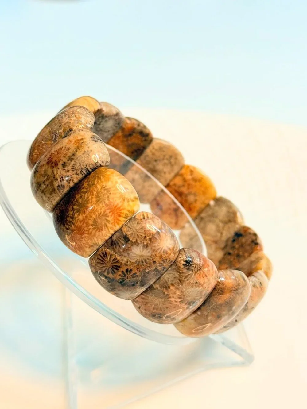 The Grown-Up Kaleidoscope | Natural Fossil Coral Unisex Bracelet